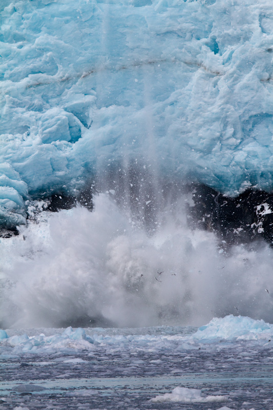 Aialik Glacier Calving Into Ocean